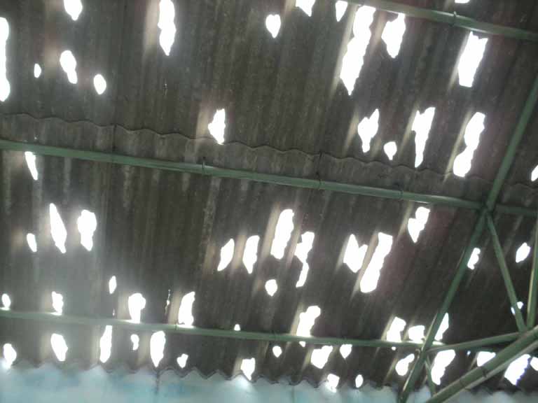 Hail Damage underside